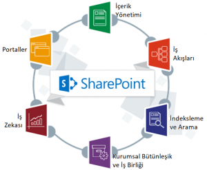 Microsoft SharePoint ile Kurumsal İş Birliği ve Doküman Yönetimi