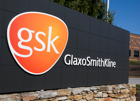 GlaxoSmithKline Success Story