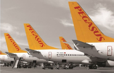 The Efficiency and Performance Revolution with Pegasus ARM Architecture