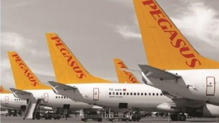 The Efficiency and Performance Revolution with Pegasus ARM Architecture